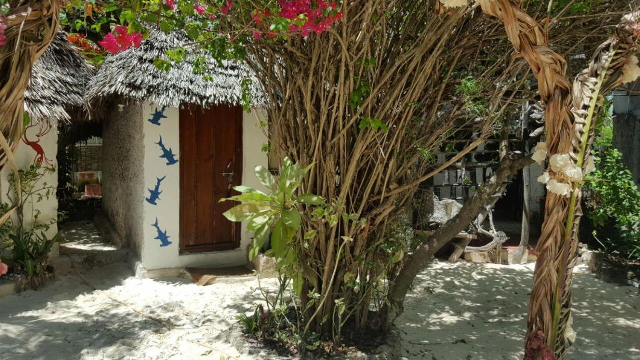 Mustapha' S Place Bwejuu Extérieur photo